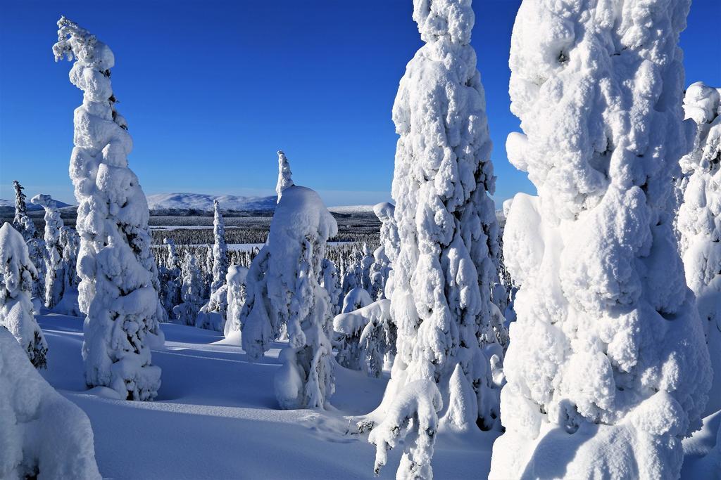 Herranterttu Apartments Saariselkä Buitenkant foto
